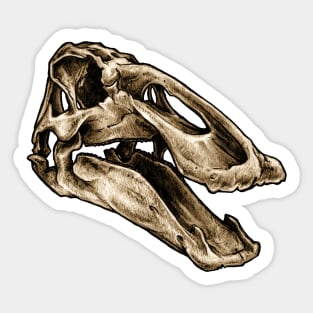 Dinosaur Skull Edmontosaurus Sticker